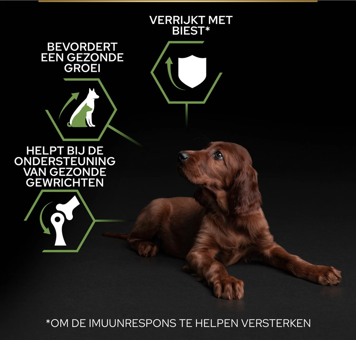 Pro Plan Healthy Start Puppy Large Athletic - Honden Droogvoer - Kip - 12 Kg 15 Pro Plan Healthy Start Puppy Large Athletic - Honden Droogvoer - Kip - 12 Kg - Afbeelding 13