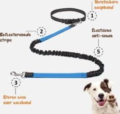 Hardloopriem Hond – Honden Riem Handsfree – Hardlopen Met Hond – 160-260 Cm Blauw - Hardloopband Hond – Halsband Hond – Hondenlijn – Leiband Hond -Hondenserie Winkel 1200x1146 28
