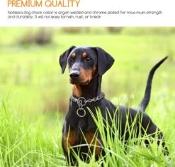 Nobleza Slipketting Hond - Sliphalsband - Trainingshalsband - Hondenketting - Maat L 10 Nobleza Slipketting Hond - Sliphalsband - Trainingshalsband - Hondenketting - Maat L -Hondenserie Winkel 1200x1146 29