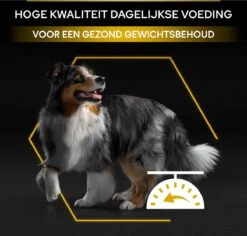 Pro Plan All Sizes Adult Light/Sterilised - Honden Droogvoer - Kip- 3 Kg -Hondenserie Winkel 1200x1146 5