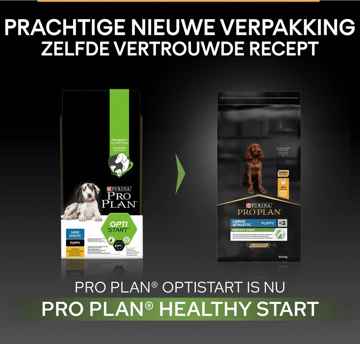 Pro Plan Healthy Start Puppy Large Athletic - Honden Droogvoer - Kip - 12 Kg 7 Pro Plan Healthy Start Puppy Large Athletic - Honden Droogvoer - Kip - 12 Kg - Afbeelding 5