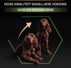 Pro Plan Healthy Start Puppy Large Athletic - Honden Droogvoer - Kip - 12 Kg 29 Pro Plan Healthy Start Puppy Large Athletic - Honden Droogvoer - Kip - 12 Kg -Hondenserie Winkel 1200x1146 9