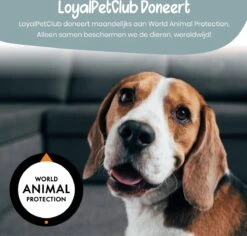 Loyalpetclub® Professionele 2-in-1 Hondentondeuse Voor Dikke Vacht – Draadloze Honden Tondeuse & Hondentrimmer – Stille Tondeuse Katten & Honden Trimset - Inclusief Opbergtasje 19 Loyalpetclub® Professionele 2-in-1 Hondentondeuse Voor Dikke Vacht – Draadloze Honden Tondeuse & Hondentrimmer – Stille Tondeuse Katten & Honden Trimset - Inclusief Opbergtasje -Hondenserie Winkel 1200x1148 5