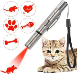 Merkloos Laserpen - USB Oplaadbaar - Kattenspeeltjes - Verschillende Standen - Zilver - Houder