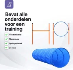 Tavaro Agility Voor De Hond - Honden Training - Hondentunnel - Springhoepel - Horde - Slalom - Honden Behendigheid Trainingsset -Hondenserie Winkel 1200x1150 6