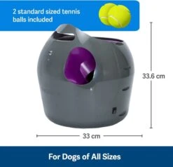 PetSafe Automatische Ballenwerper - Dierenspeelgoed -Hondenserie Winkel 1200x1154 2