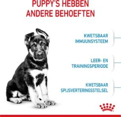 Royal Canin Maxi Puppy 4 KG 25 Royal Canin Maxi Puppy 4 KG -Hondenserie Winkel 1200x1158 3