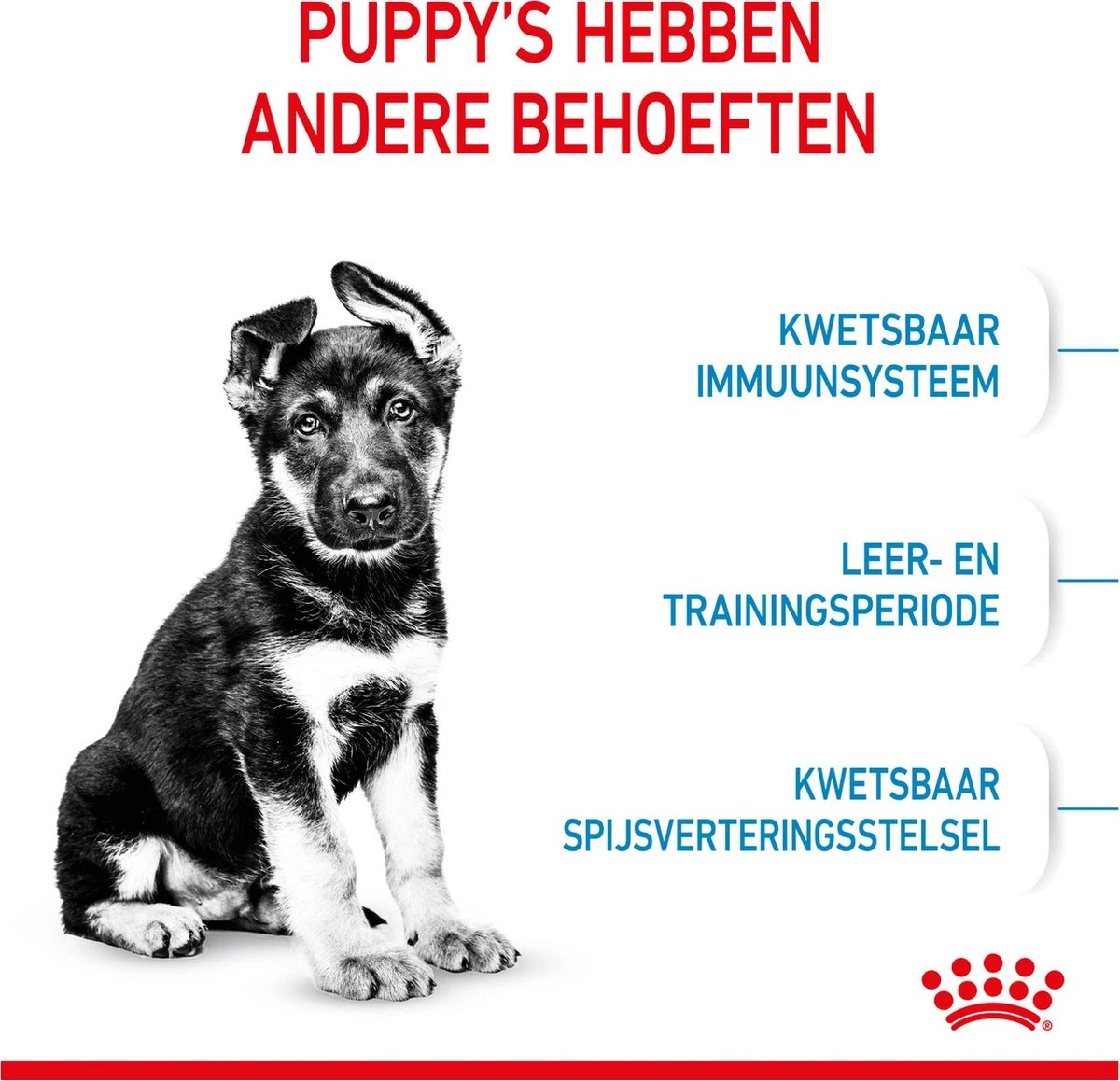 Royal Canin Maxi Puppy 4 KG 6 Royal Canin Maxi Puppy 4 KG - Afbeelding 4