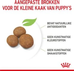 Royal Canin Maxi Puppy 4 KG 30 Royal Canin Maxi Puppy 4 KG -Hondenserie Winkel 1200x1159 1