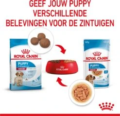 Royal Canin Shn Medium Puppy Pouch - Hondenvoer - 10 X 140 G 27 Royal Canin Shn Medium Puppy Pouch - Hondenvoer - 10 X 140 G -Hondenserie Winkel 1200x1159 16