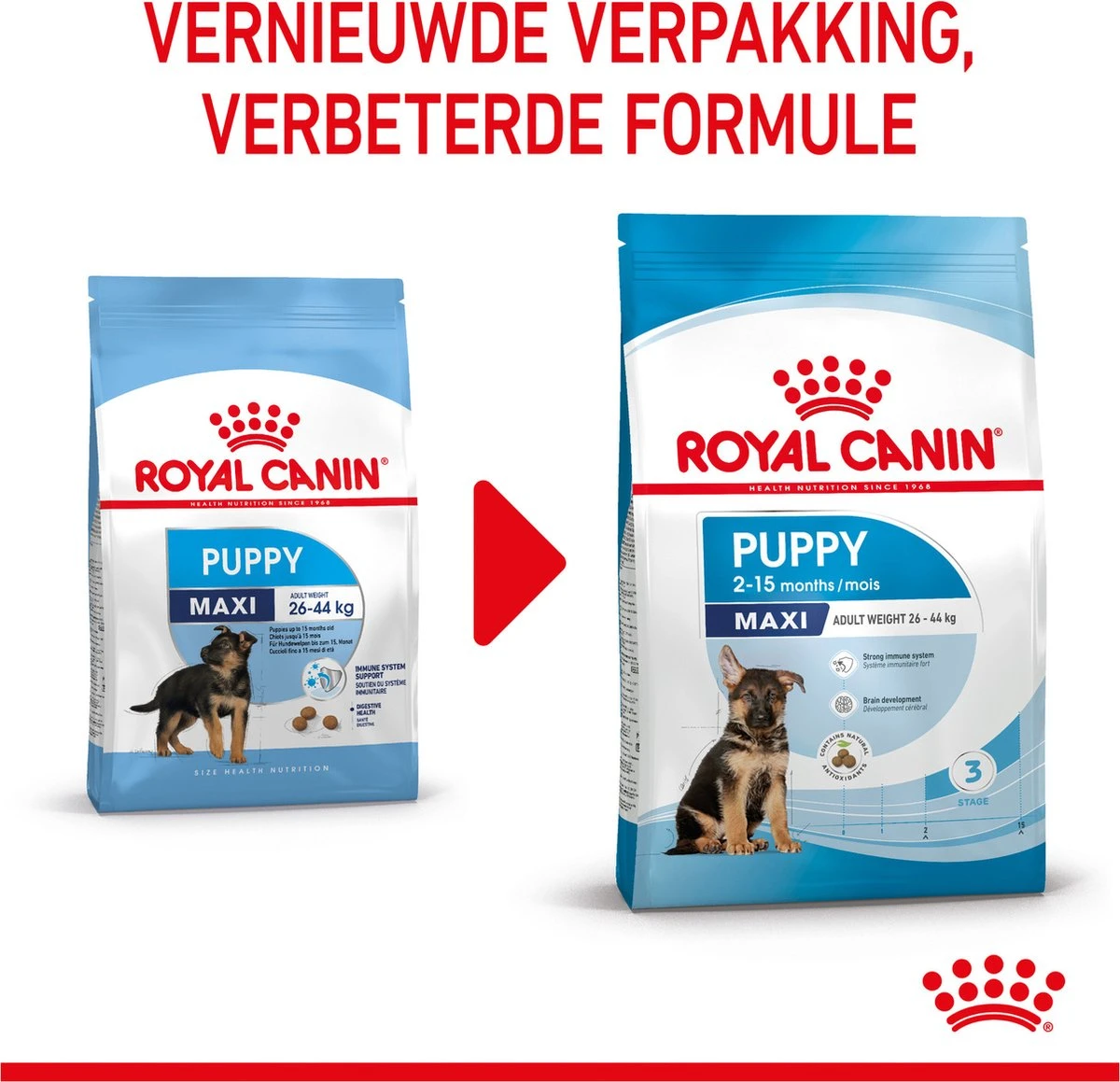 Royal Canin Maxi Puppy 4 KG 17 Royal Canin Maxi Puppy 4 KG - Afbeelding 15