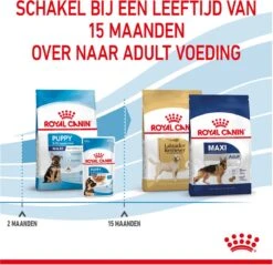 Royal Canin Maxi Puppy 4 KG 41 Royal Canin Maxi Puppy 4 KG -Hondenserie Winkel 1200x1159 6