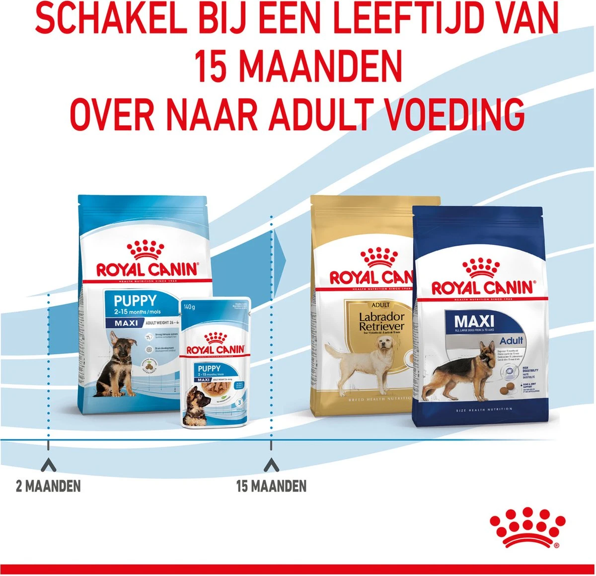 Royal Canin Maxi Puppy 4 KG 22 Royal Canin Maxi Puppy 4 KG - Afbeelding 20