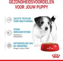 Royal Canin Shn Mini Puppy Pouch - Hondennatvoer - 12 X 85 G -Hondenserie Winkel 1200x1159 7