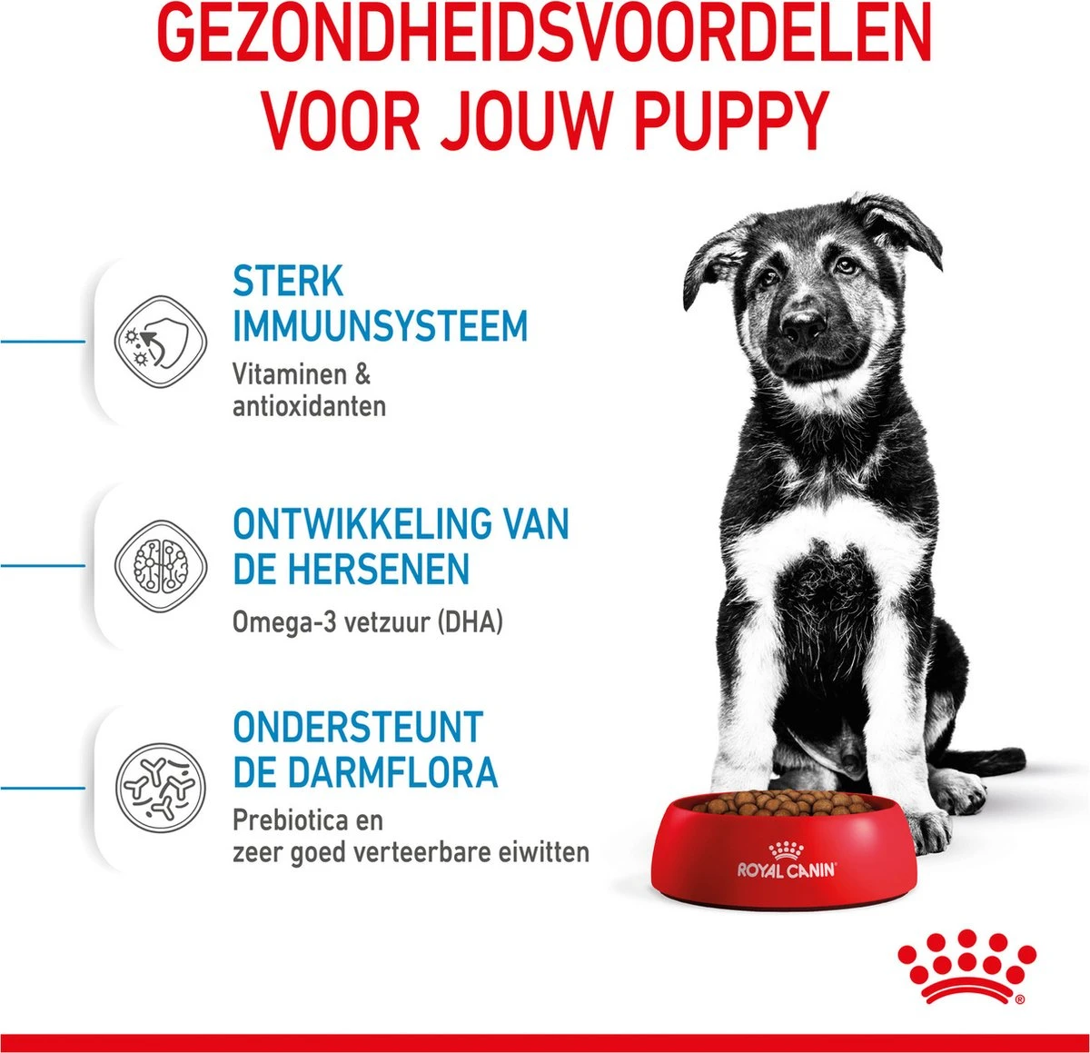 Royal Canin Maxi Puppy 4 KG 8 Royal Canin Maxi Puppy 4 KG - Afbeelding 6
