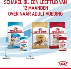 Royal Canin Shn Medium Puppy Pouch - Hondenvoer - 10 X 140 G 31 Royal Canin Shn Medium Puppy Pouch - Hondenvoer - 10 X 140 G -Hondenserie Winkel 1200x1160 3