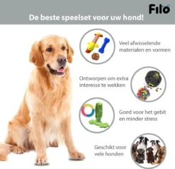 Filo Honden Speelgoed Set 14 Stuks - Hondenspeeltjes Knuffel - Hondenbal - Flostouw - Bot - Frisbee - Hondentouw - Hondenspeelgoed Intelligentie - Kauwspeelgoed Hond En Puppy - Bijtspeelgoed Hondenknuffel - Hondenspeeltje Met Piep 18 Filo Honden Speelgoed Set 14 Stuks - Hondenspeeltjes Knuffel - Hondenbal - Flostouw - Bot - Frisbee - Hondentouw - Hondenspeelgoed Intelligentie - Kauwspeelgoed Hond En Puppy - Bijtspeelgoed Hondenknuffel - Hondenspeeltje Met Piep -Hondenserie Winkel 1200x1160 7