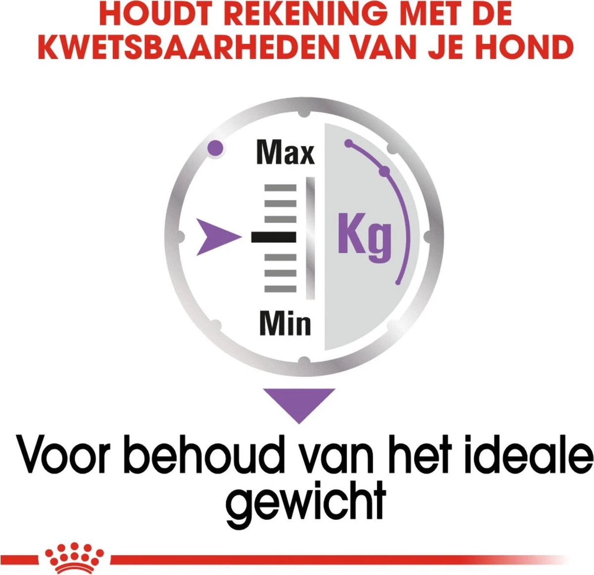 Royal Canin Ccn Sterilised Wet - Hondenvoer - 12x85 G 6 Royal Canin Ccn Sterilised Wet - Hondenvoer - 12x85 G - Afbeelding 4