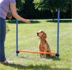 Trixie Dog Activity Agility Horde - Blauw/Oranje - 123 X 115 X 3 Cm 12 Trixie Dog Activity Agility Horde - Blauw/Oranje - 123 X 115 X 3 Cm -Hondenserie Winkel 1200x1163 2