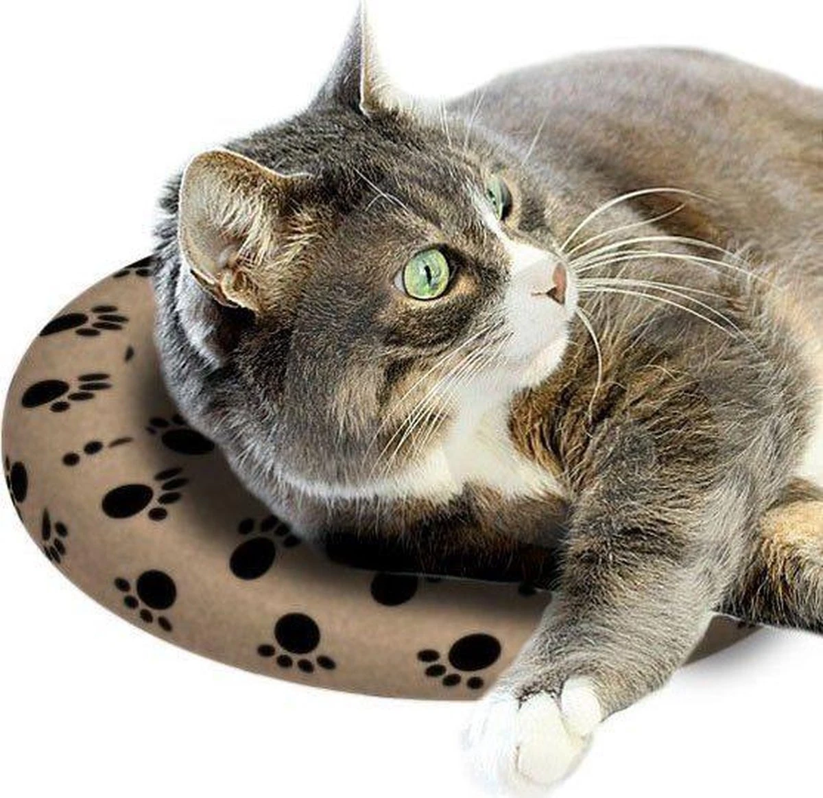 Snugglesafe Warmteschijf Hond/Kat - 24 Cm 4 Snugglesafe Warmteschijf Hond/Kat - 24 Cm - Afbeelding 2