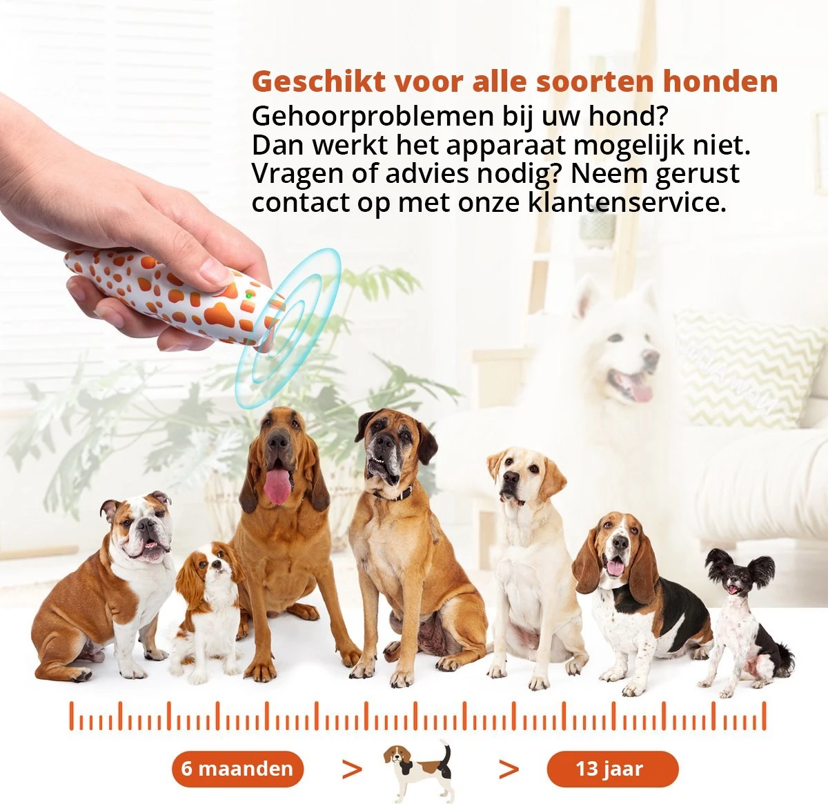 Merkloos LotaHome - Anti Blaf Apparaat - Hondentrainer Voor Binnen En Buiten - Bereik Tot 15 Meter - Diervriendelijk - Zonder Schok - Ultrasone - Voor Alle Honden - Inclusief Clicker 5 Merkloos LotaHome - Anti Blaf Apparaat - Hondentrainer Voor Binnen En Buiten - Bereik Tot 15 Meter - Diervriendelijk - Zonder Schok - Ultrasone - Voor Alle Honden - Inclusief Clicker - Afbeelding 3