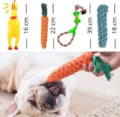 (Goedkoopste) Honden Speelgoed Set 15 Stuks Geschikt Voor Puppy's T/m Middelgrote Honden - Honden Kauw Speelgoed - 15 Stuks - Hondenspeeltjes - Intelligentie - Touw - Flostouw - Bijtring - Bal - Huisdieren Speelgoed 18 (Goedkoopste) Honden Speelgoed Set 15 Stuks Geschikt Voor Puppy's T/m Middelgrote Honden - Honden Kauw Speelgoed - 15 Stuks - Hondenspeeltjes - Intelligentie - Touw - Flostouw - Bijtring - Bal - Huisdieren Speelgoed -Hondenserie Winkel 1200x1165 3