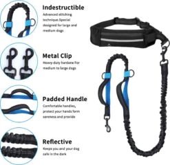 Nobleza Jogging Heupgordel Met Hondenriem 42UOY - Looplijn Met Heupriem Voor Honden 14 Nobleza Jogging Heupgordel Met Hondenriem 42UOY - Looplijn Met Heupriem Voor Honden -Hondenserie Winkel 1200x1167 12