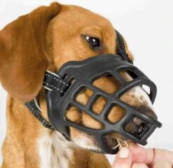 TRIXIE Honden Muilkorf Flex Maat L 17614 -Hondenserie Winkel 1200x1167 14