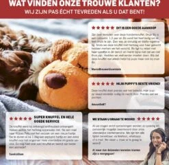 Vulpes Pets® Knuffel Hond Met Hartslag – Puppyknuffel - Hondenknuffel Voor Puppy - Snuggle Puppy - Knuffel Met Hartslag En Gratis Warmte Pad Speciaal Voor Puppy's 23 Vulpes Pets® Knuffel Hond Met Hartslag – Puppyknuffel - Hondenknuffel Voor Puppy - Snuggle Puppy - Knuffel Met Hartslag En Gratis Warmte Pad Speciaal Voor Puppy's -Hondenserie Winkel 1200x1167 2