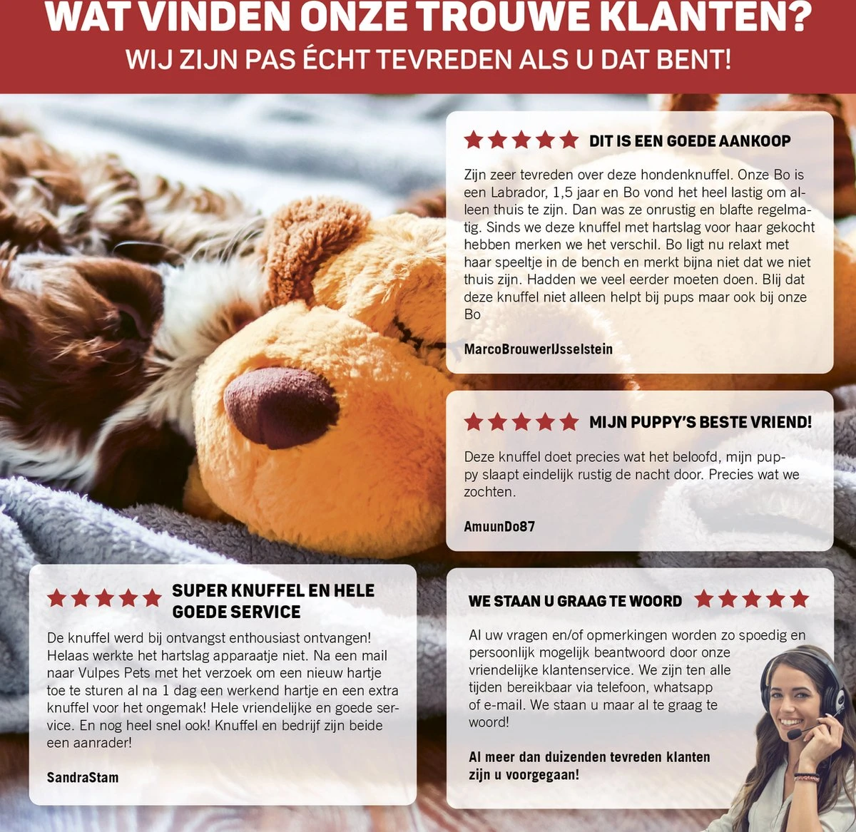 Vulpes Pets® Knuffel Hond Met Hartslag – Puppyknuffel - Hondenknuffel Voor Puppy - Snuggle Puppy - Knuffel Met Hartslag En Gratis Warmte Pad Speciaal Voor Puppy's 13 Vulpes Pets® Knuffel Hond Met Hartslag – Puppyknuffel - Hondenknuffel Voor Puppy - Snuggle Puppy - Knuffel Met Hartslag En Gratis Warmte Pad Speciaal Voor Puppy's - Afbeelding 11