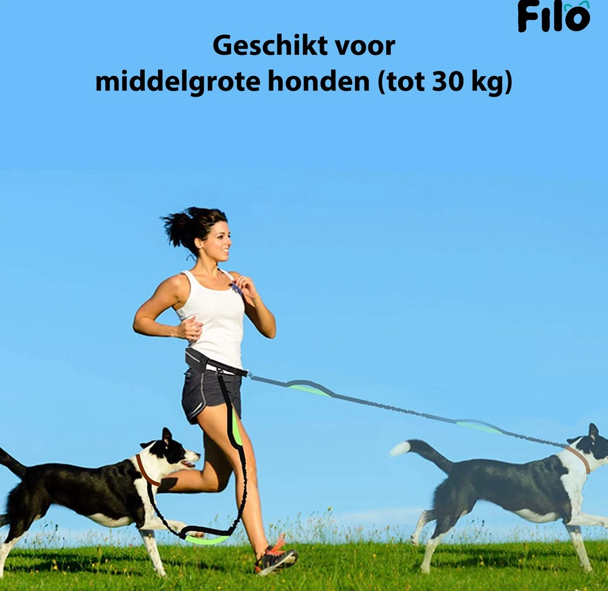 Filo Elastische Hondenriem Middel - Hardlopen En Wandelen - Hardloopriem Hond Handsfree Met Heuptasje - Looplijn Met Heupriem - Canicross Gordel Honden - Riemen - Heupgordel - Leiband 4 Filo Elastische Hondenriem Middel - Hardlopen En Wandelen - Hardloopriem Hond Handsfree Met Heuptasje - Looplijn Met Heupriem - Canicross Gordel Honden - Riemen - Heupgordel - Leiband - Afbeelding 2
