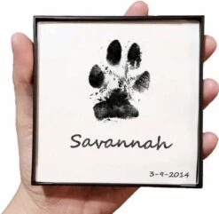 Merkloos Paw Print Pad - Pootafdruk Maken Van Hond Of Kat -Hondenserie Winkel 1200x1169 1