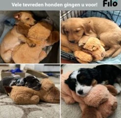 Filo Hondenknuffel Met Hartslag En Warmtebron - Hartslagknuffel Hondenspeelgoed Snuggle Puppy - Knuffel Met Hartslag - Heartbeat Knuffel Hond 15 Filo Hondenknuffel Met Hartslag En Warmtebron - Hartslagknuffel Hondenspeelgoed Snuggle Puppy - Knuffel Met Hartslag - Heartbeat Knuffel Hond -Hondenserie Winkel 1200x1170 8