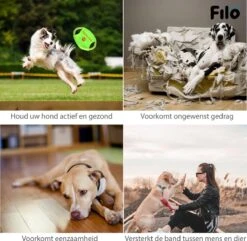 Filo Honden Speelgoed Set 14 Stuks - Hondenspeeltjes Knuffel - Hondenbal - Flostouw - Bot - Frisbee - Hondentouw - Hondenspeelgoed Intelligentie - Kauwspeelgoed Hond En Puppy - Bijtspeelgoed Hondenknuffel - Hondenspeeltje Met Piep 17 Filo Honden Speelgoed Set 14 Stuks - Hondenspeeltjes Knuffel - Hondenbal - Flostouw - Bot - Frisbee - Hondentouw - Hondenspeelgoed Intelligentie - Kauwspeelgoed Hond En Puppy - Bijtspeelgoed Hondenknuffel - Hondenspeeltje Met Piep -Hondenserie Winkel 1200x1171 3