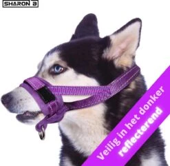 Sharon B Muilkorf Paars Maat M - Fleece - Wasbaar - Reflecterend 12 Sharon B Muilkorf Paars Maat M - Fleece - Wasbaar - Reflecterend -Hondenserie Winkel 1200x1173 11