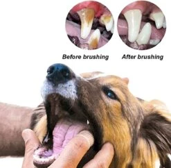 Doodadeals® 4 Stuks Siliconen Honden Tandenborstel - Tanden Borstel Hond - Silicone Dog Tootbrush - Multikleur 10 Doodadeals® 4 Stuks Siliconen Honden Tandenborstel - Tanden Borstel Hond - Silicone Dog Tootbrush - Multikleur -Hondenserie Winkel 1200x1175 11