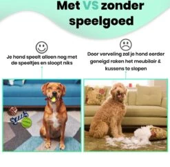 Petloverz – Honden Speelgoed Set – Honden Speeltjes – Knuffel - Speelgoed – Intelligentie – 15 Speeltjes 14 Petloverz – Honden Speelgoed Set – Honden Speeltjes – Knuffel - Speelgoed – Intelligentie – 15 Speeltjes -Hondenserie Winkel 1200x1177 2