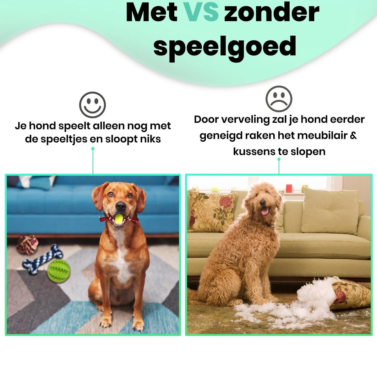 Petloverz – Honden Speelgoed Set – Honden Speeltjes – Knuffel - Speelgoed – Intelligentie – 15 Speeltjes 8 Petloverz – Honden Speelgoed Set – Honden Speeltjes – Knuffel - Speelgoed – Intelligentie – 15 Speeltjes - Afbeelding 6