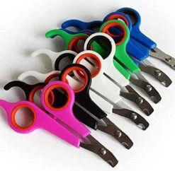 Doodadeals® | Nagelschaar Kat | Nagelschaar Hond | Nagelschaar Konijn | Nagelschaar Cavia | Multi Color | 1 Stuk -Hondenserie Winkel 1200x1178 10