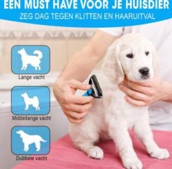 Professionele Ondervacht Kam Voor Hond En Kat S – Hondenborstel – Kattenborstel - Hondenkam –Anti Klit - Haarverwijderaar Voor Huisdieren - Pijnloos - Huisdiervriendelijk – Klittenkam - Voorkomt Haaruitval - Kleine Variant- Black Friday - Sinterklaas 10 Professionele Ondervacht Kam Voor Hond En Kat S – Hondenborstel – Kattenborstel - Hondenkam –Anti Klit - Haarverwijderaar Voor Huisdieren - Pijnloos - Huisdiervriendelijk – Klittenkam - Voorkomt Haaruitval - Kleine Variant- Black Friday - Sinterklaas -Hondenserie Winkel 1200x1178 12