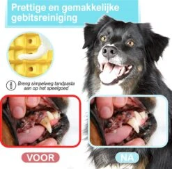 Merkloos Corn Dog Toothbrush - Honden Speelgoed - Hondenspeelgoed - Honden Tandenborstel - Gezond Dieet - Hondenspeeltje - Honden Speelgoed Intelligentie -Hondenserie Winkel 1200x1179