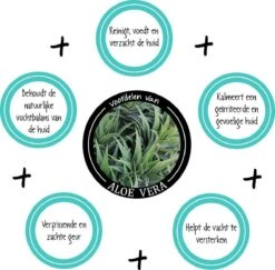 Greenfields Vacht Verzorging Set Voor Honden Shampoo, Conditioner & Droogshampoo 13 Greenfields Vacht Verzorging Set Voor Honden Shampoo, Conditioner & Droogshampoo -Hondenserie Winkel 1200x1182 6