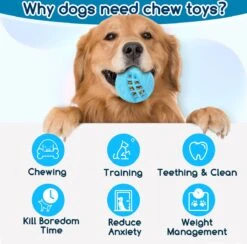 Nobleza Honden Speelgoed - Hondenspeeltjes - Hondenbal - Hondenspeelgoed - Honden Bal - Snackbal Hond - Kauwspeelgoed - Blauw - 8 Cm 16 Nobleza Honden Speelgoed - Hondenspeeltjes - Hondenbal - Hondenspeelgoed - Honden Bal - Snackbal Hond - Kauwspeelgoed - Blauw - 8 Cm -Hondenserie Winkel 1200x1183