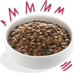 Edgard & Cooper Verse Hert & Scharreleend Brok - Voor Volwassen Honden - Hondenvoer - 2 X 2.5kg 11 Edgard & Cooper Verse Hert & Scharreleend Brok - Voor Volwassen Honden - Hondenvoer - 2 X 2.5kg -Hondenserie Winkel 1200x1186 4