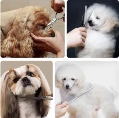 VoordeelShop 7-Delige Huisdier Knipset Met Etui - Trimmen Hond - Honden Schaar - Effileerschaar Hond - Huisdier Trimmer - Huisdier Knippen - Knipschaar Haar - Haar Schaar - Kapper - Kapperset - Scharenset -Hondenserie Winkel 1200x1190 7