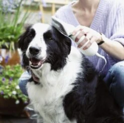 Merkloos HondenFöhn En Borstel - RVS Borstel - Huisdieren - 2 In 1 Hondenföhn -Hondenserie Winkel 1200x1190 8