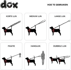 DDOXX Hondenriem Air Mesh, 3-voudig Verstelbaar, 2m | Voor Kleine & Grote Honden | Dubbele Riem Twee Honden Kat Puppy | Tug Leash Large | Lead Leash Small | Walking Leash Puppy Leash | Zwart, XS 12 DDOXX Hondenriem Air Mesh, 3-voudig Verstelbaar, 2m | Voor Kleine & Grote Honden | Dubbele Riem Twee Honden Kat Puppy | Tug Leash Large | Lead Leash Small | Walking Leash Puppy Leash | Zwart, XS -Hondenserie Winkel 1200x1191 15
