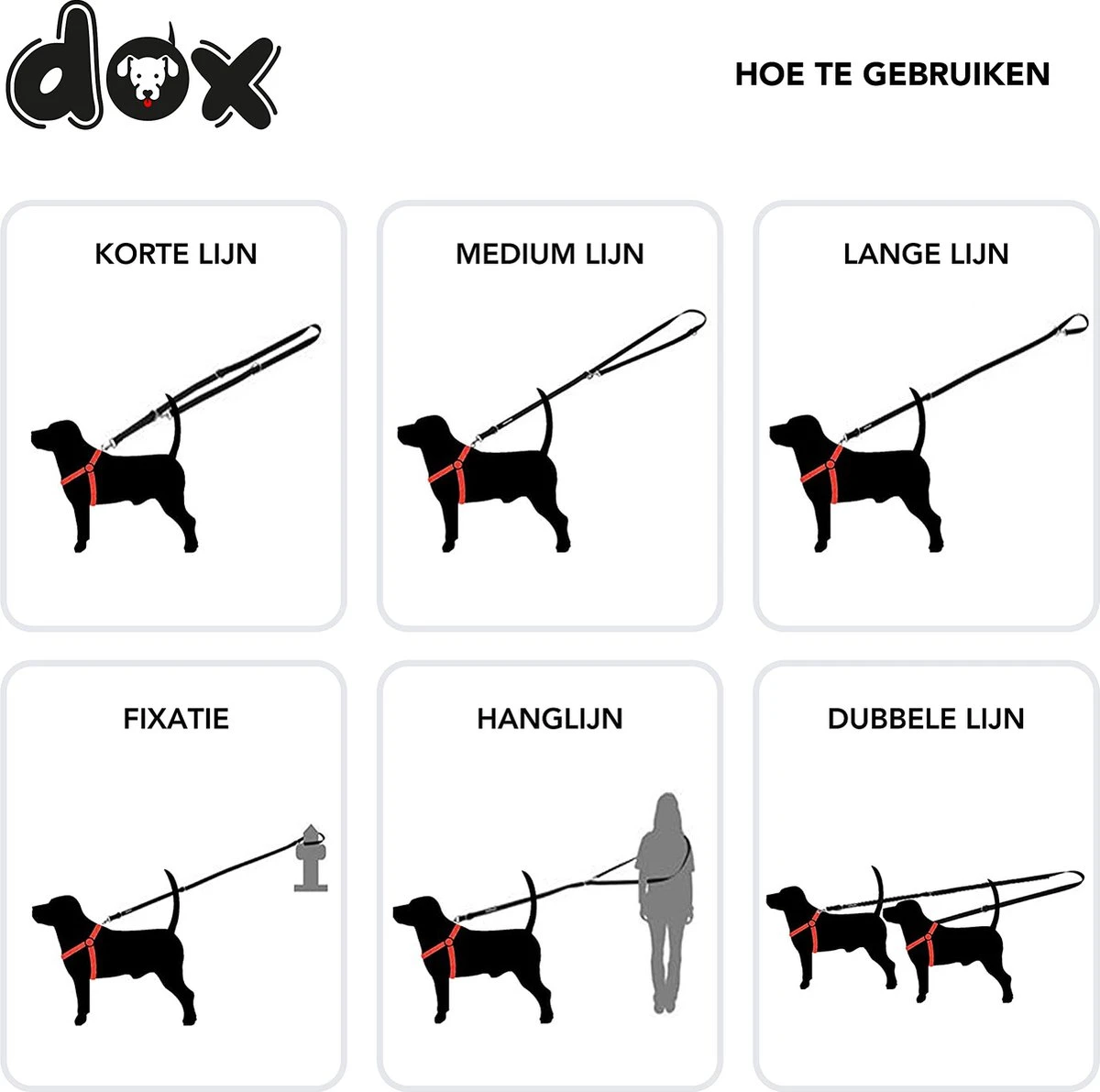 DDOXX Hondenriem Air Mesh, 3-voudig Verstelbaar, 2m | Voor Kleine & Grote Honden | Dubbele Riem Twee Honden Kat Puppy | Tug Leash Large | Lead Leash Small | Walking Leash Puppy Leash | Zwart, XS 7 DDOXX Hondenriem Air Mesh, 3-voudig Verstelbaar, 2m | Voor Kleine & Grote Honden | Dubbele Riem Twee Honden Kat Puppy | Tug Leash Large | Lead Leash Small | Walking Leash Puppy Leash | Zwart, XS - Afbeelding 5