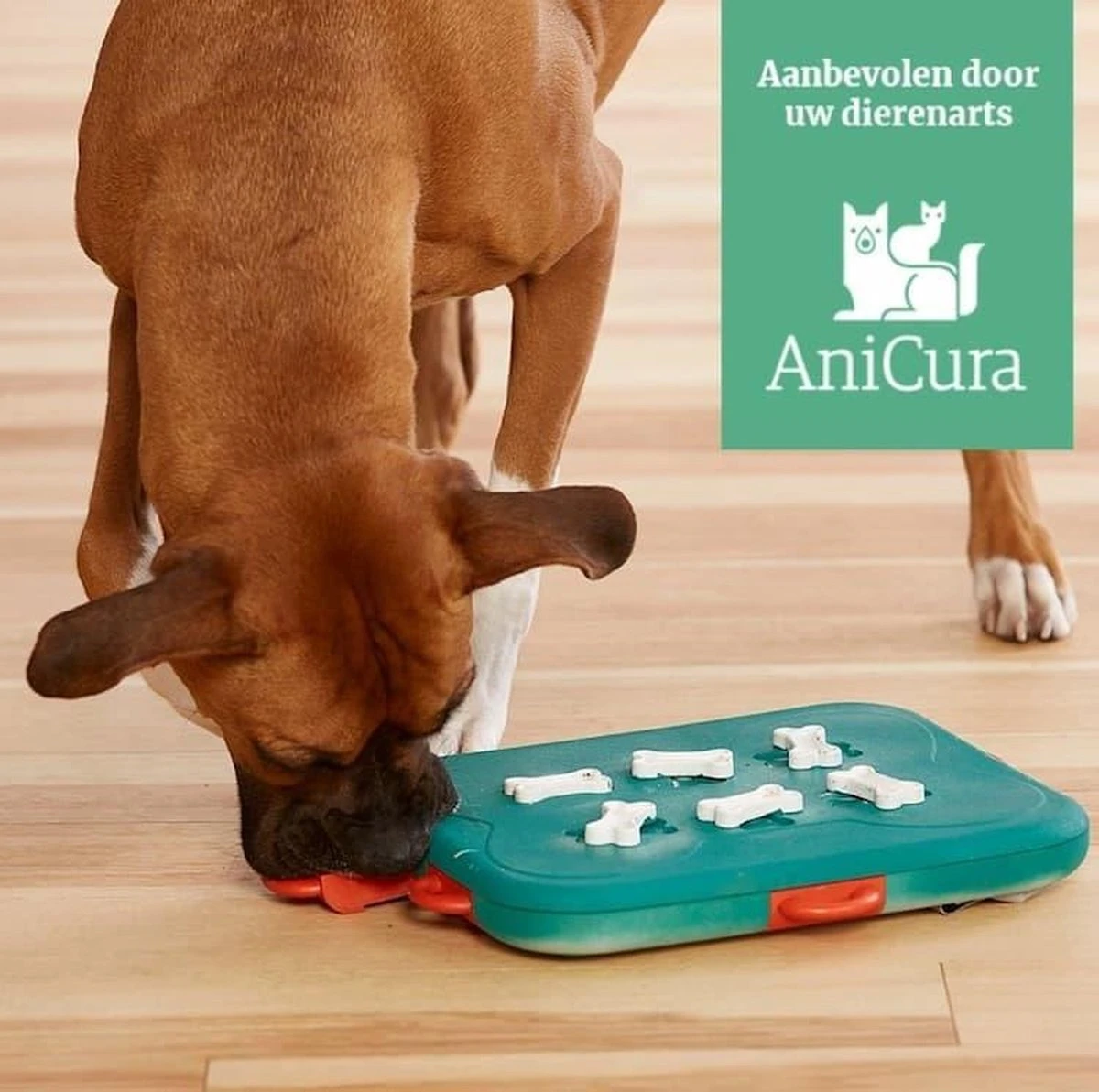 Nina Ottosson Dog Casino - Turquoise/Oranje - 31,5 X 26 X 4,5 Cm 11 Nina Ottosson Dog Casino - Turquoise/Oranje - 31,5 X 26 X 4,5 Cm - Afbeelding 9