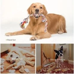 Nobleza Hondentouw - Speeltouw Hond - Flostouw Hond - Trektouw Hond - Lang - Geknoopt -Hondenserie Winkel 1200x1193 3